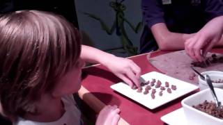 Chocolate Covered Crickets!