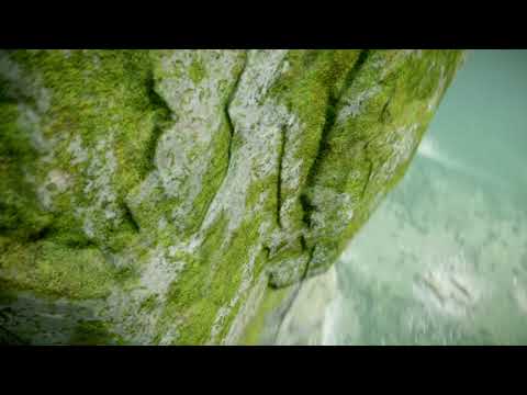 SHADOW OF THE COLOSSUS™ is a masterpiece