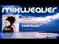 Nicole Scherzinger - Poison (Cahill Remix) 