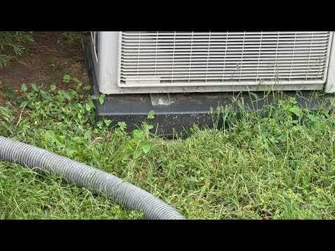 Yellow Jackets Shelter Under A/C Unit in Raritan, NJ