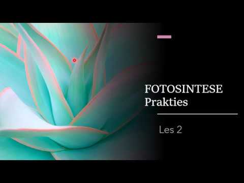 LEWENSWETENSKAP GRAAD 11: 5 Mei 2020 - periode 7 (05117)