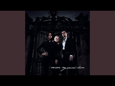 Strangers In The Night