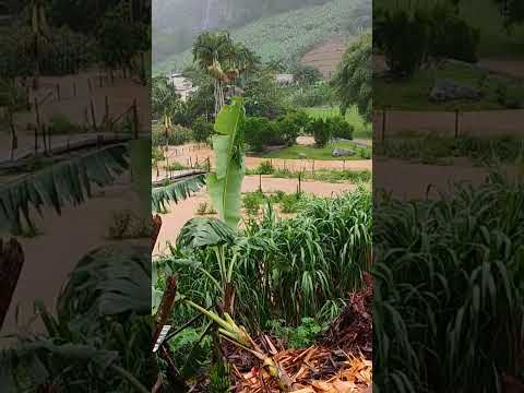 pombal de cima, vargem alta, espírito santo.