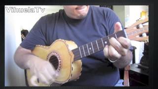 Vihuela (( Yanni The Storm )) Cover !! Idea para agilidad !!