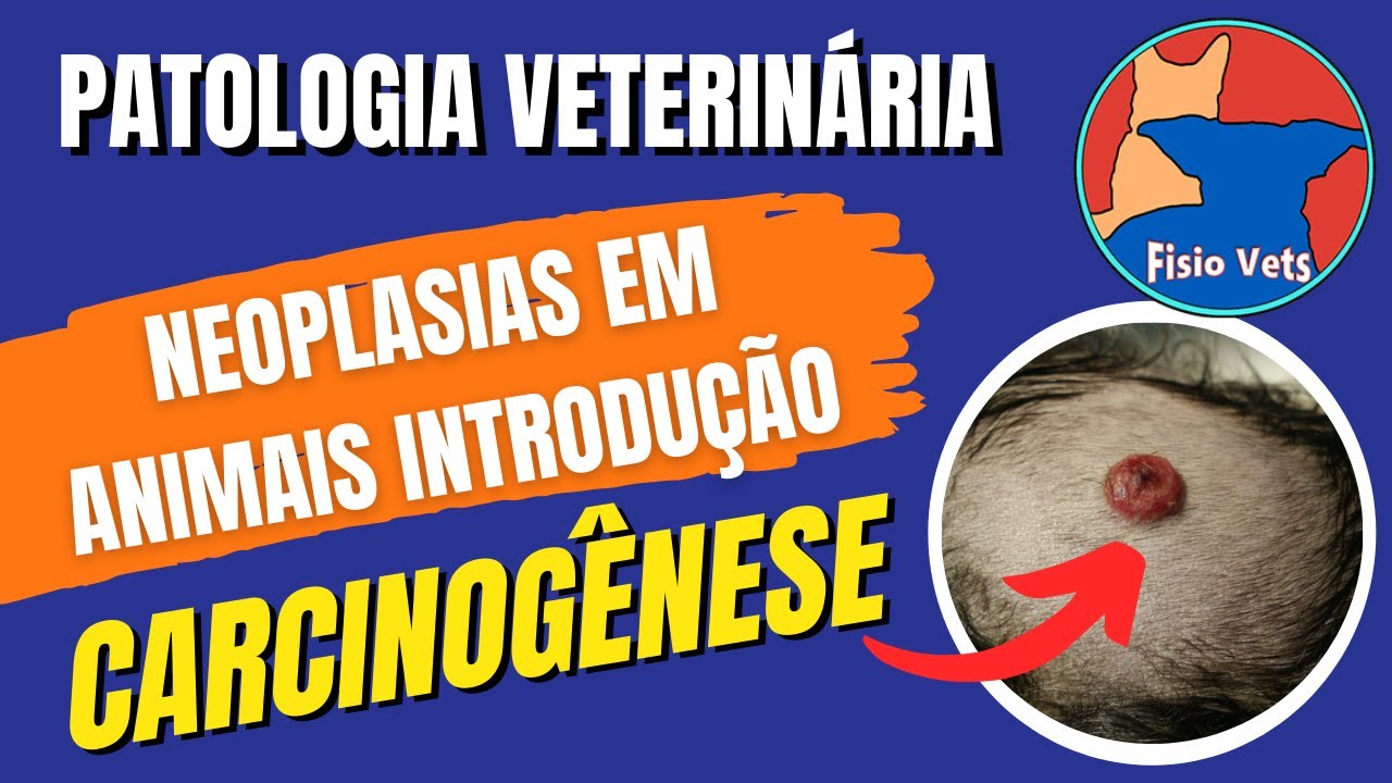 Carcinogênese - Introdução às neoplasias em medicina veterinária (Parte 1) - Patologia Geral