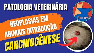 Carcinogênese - Introdução às neoplasias em medicina veterinária (Parte 1) - Patologia Geral