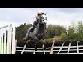 LOSSIEMOUTH completes Cheltenham-Punchestown double