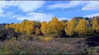 桃畑（福島県伊達市ライブカメラ） live webcam