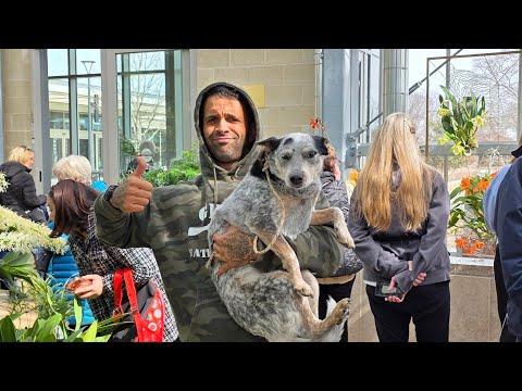 Sniffin Around at the Orchid Show Nice