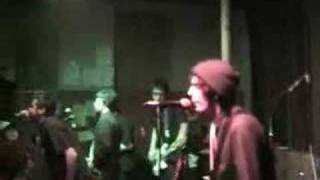 Mustard Plug - Lolita (#6)