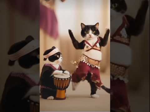 बिल्ली | billi♥️ | bilari🥰 | bilari wala cartoon | billi wale cartoon short #shorts #short #cartoon