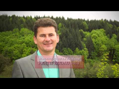 Fratii Budau vol.4 - Slabanogul de la Betezda