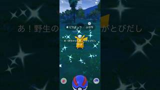【Pokémon GO】 Shiny Pikachu GET✨