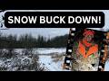 Heavy Snow A Rifle Buck Down 2025 Pennsylvania Deer Opener DeerAddiction
