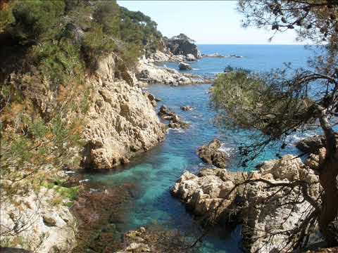 Zmeyev & Maple Syrup - A Costa