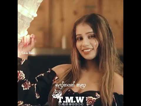 Asama (ආසම) - Shammi fernando  Ft. OOSeven -(T.m.w music status and lyrics video) - coming soon