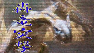 【MH4G】～あの頃は下手だった～ part3 『地獄の底に轟竜現る！』