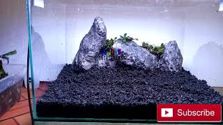 Aquascape Batu Turly nano tank