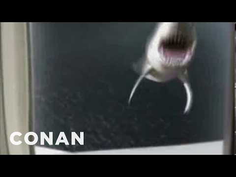 Conan's TV Sharktacular | CONAN on TBS