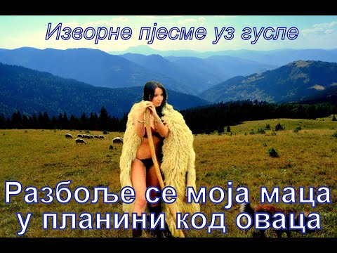 Razbolje se moja maca-izvorne pjesme-guslar Milan Dašić i Veselin Dacić