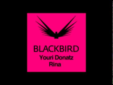 Youri Donatz - Rina (teaser)