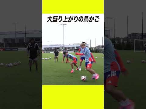鳥かごが大盛り上がり🔥