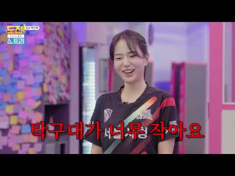 비디오 12
