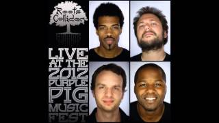 RootsCollider - Akuma - Live @ the Purple Pig Festival - Track 15