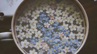 Electric guest - waves (slowed + reverb)