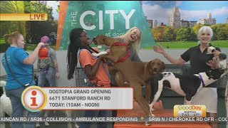 Dogtopia Opening