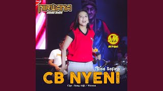 Download lagu CB Nyeni mp3