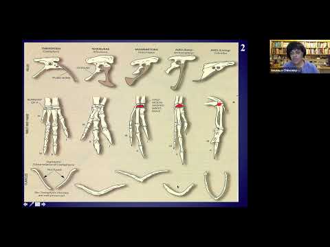 RBBC Monthly Meeting - Dinosaurian Origin of Birds - Sep 2021 - Prof. Anusuya Chinsamy-Turan