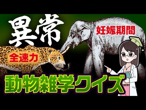 ゾウの妊娠はどれくらい続きますか?