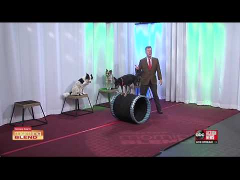 download lagu mp3 mp4 Mutts Nuts, download lagu Mutts Nuts gratis, unduh video klip Mutts Nuts