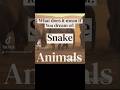 Dreaming of snake #bible #faith #bibleverse #dreaminterpretation #jesus #christianity