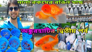 অঙ্কুরহাটির দ্বিতীয় পর্ব | Pet Market Howrah | Ankurhati Aquarium Fish Wholesale Market | Pet Market