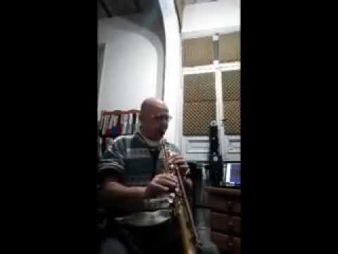 Microtonal Worksong // Performed by Dario Dolci // Composed by Sam Newsome