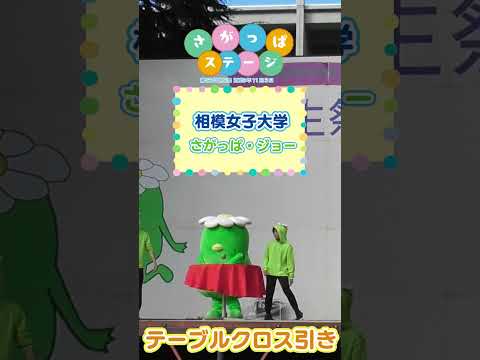 【相模女子大学】相生祭さがっぱステージ _テーブルクロス引きチャレンジ 　#さがじょ #学園祭　#キャラクター