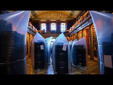Ungarn: Käfer fressen Teile von mittelalterlicher Bibliothek auf