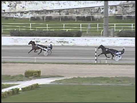 Trotto 12/03/2015 - 2° prova di riqualifica