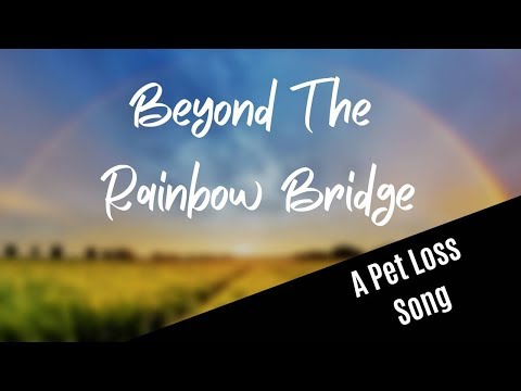 Beyond The Rainbow Bridge lyric video