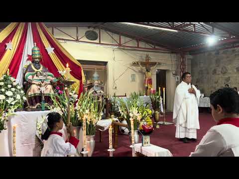 Asunción Ocotlán Oaxaca México 🇲🇽/ fiesta santísima trinidad 🙏❤️