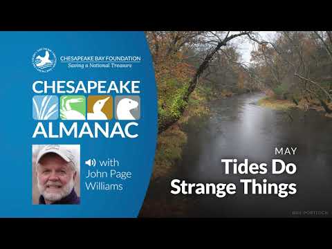 May Tides Do Strange Things