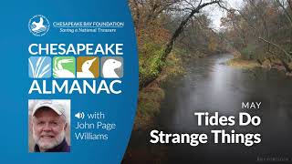 May: Tides Do Strange Things