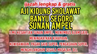 Download lagu diploma of AJI KIDUNG SHOLAWAT BANYU SEGORO SUNAN AMPEL mp3
