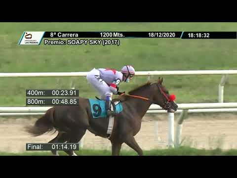 201218 c08 - CAMPEON DEL MUNDO - HIPODROMO LAS PÍEDRAS