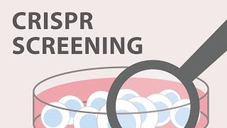 5) CRISPR Cas9 - Screening and Validation Strategies