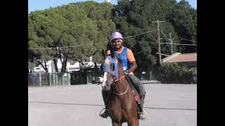 Download lagu HORSES TRAINING NICOSIA RACE CLUB CYPRUS 2022 ТРЕНИРОВКИ ЛОШАДЕЙ ИППОДРОМ КИПР mp3
