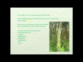 Vanilla Beans Benefits 