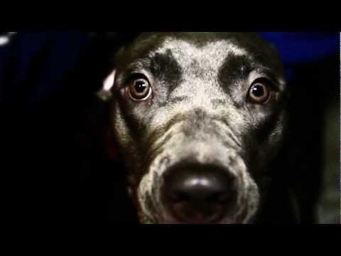 Seth Narley- Hood&High Fashion